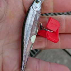 釣り部 釣行記 6