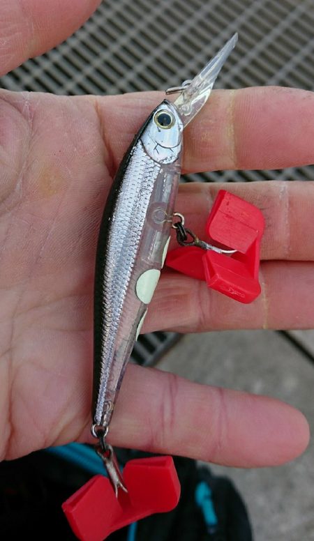 釣り部 釣行記 6