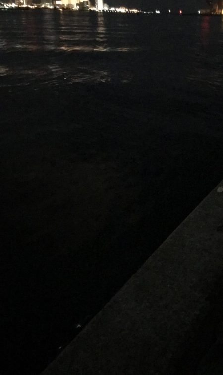 タチウオサイズダウン、、、