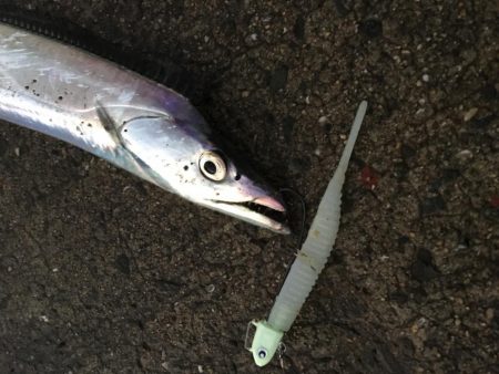 本日もフラップ縛り!!