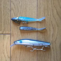 コスモでタチウオ、サゴシ