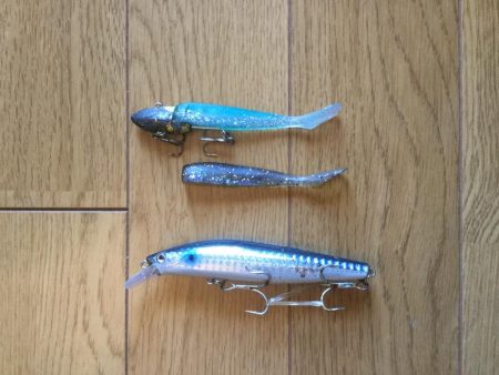 コスモでタチウオ、サゴシ