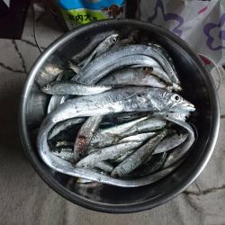 大人の夜遊び♪