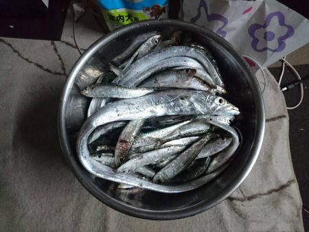 大人の夜遊び♪