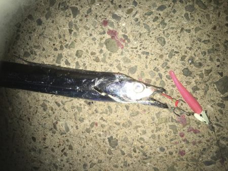 マナティーをサイズダウンしてから連続ヒット!!