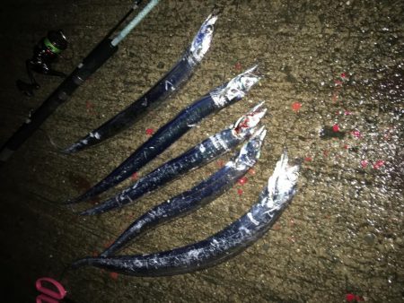 雨にも負けず風にも負けず！