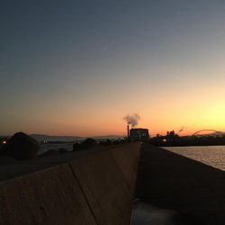 久々の青岸 太刀魚の時合なし