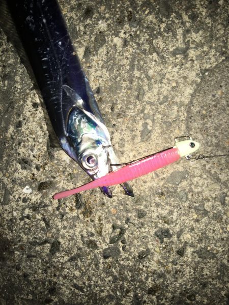 フラップ釣法、中毒性ありです！！