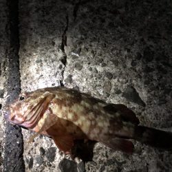 ちょこっと1時間ほど