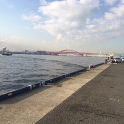 神戸港　小野浜辺りでタチウオ釣れました