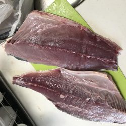 ついにきた！メジロ