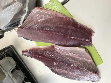 ついにきた！メジロ