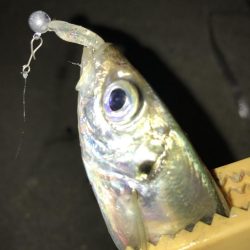 これがマゴバチの威力か！？