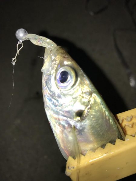 これがマゴバチの威力か！？