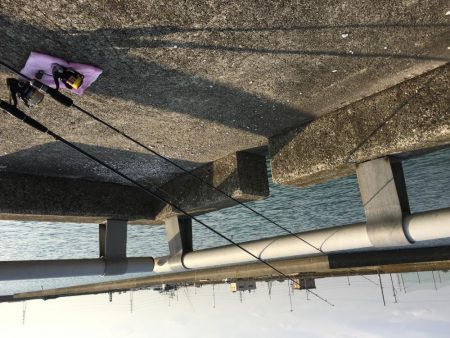 寺津でハゼ、セイゴ