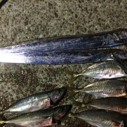 フィッシングダディ