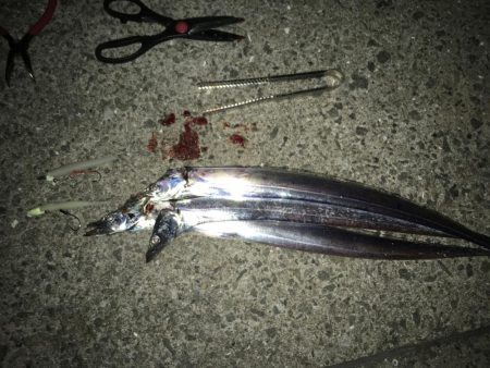 今日はあたりが...