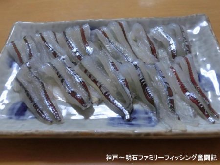 エンピツサヨリ釣り