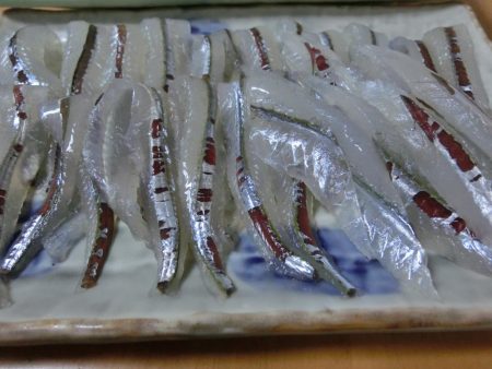 ジャンボサヨリ 来たーっ‼