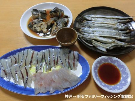 カワハギはいない?