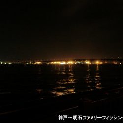 タチウオ狙いのはずがガッシーでボウズ逃れ