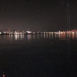 かなりスレて来た感じ?