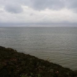 早朝の西表島で太刀魚とターポン