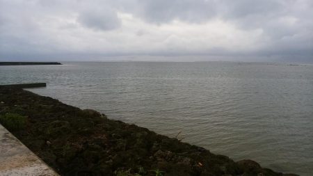 早朝の西表島で太刀魚とターポン