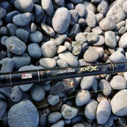 カツオのはずが・・・