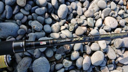 カツオのはずが・・・