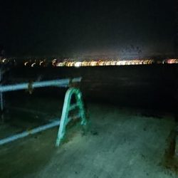 朝マズメの時合