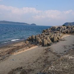 加太漁港デビュー