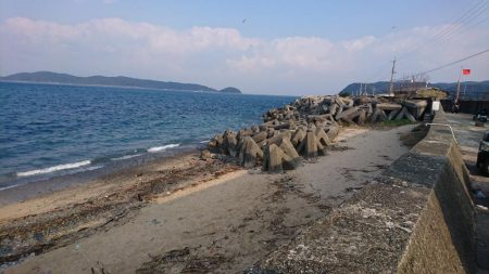 加太漁港デビュー