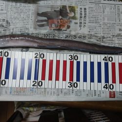 沼島でかご釣り
