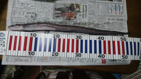 沼島でかご釣り