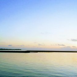 西表島でのターポン