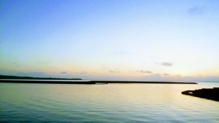 西表島でのターポン