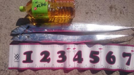 長時間頑張れど…