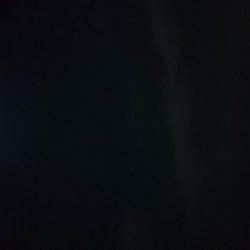 毎日タチウオ！