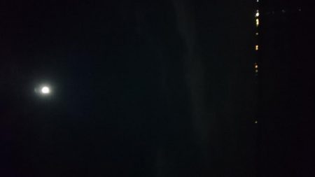 毎日タチウオ！