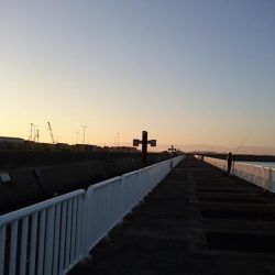 タチウオまだまだ好調持続中!