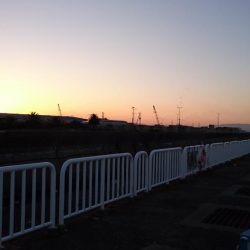 タチウオ継続中