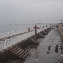 タチウオまだまだ釣れる