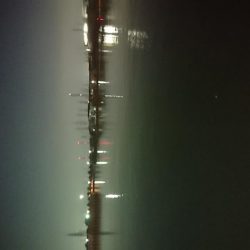 サヨリパターン攻略?