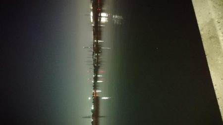 サヨリパターン攻略?