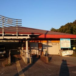 南港タチウオ大潮釣果