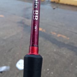 タチウオ奥湾の方へ