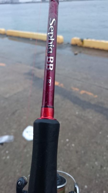 タチウオ奥湾の方へ