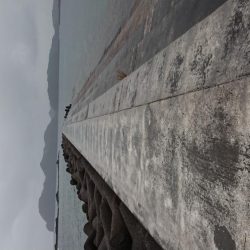 どうにか釣れました。