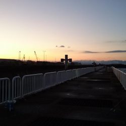 そろそろ渋めか!?